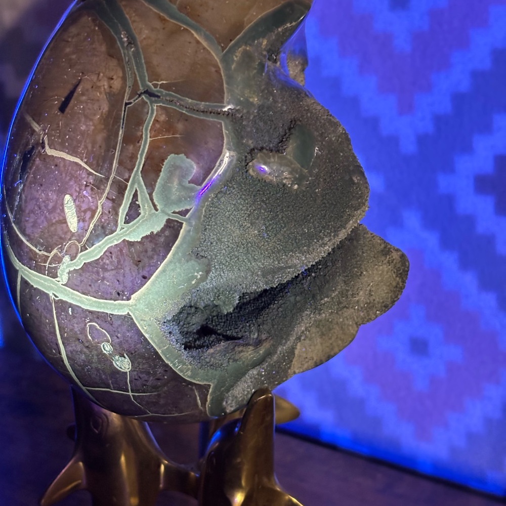Septarian/Dragon’s Egg